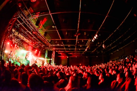 lynch.（提供：KING RECORDS）