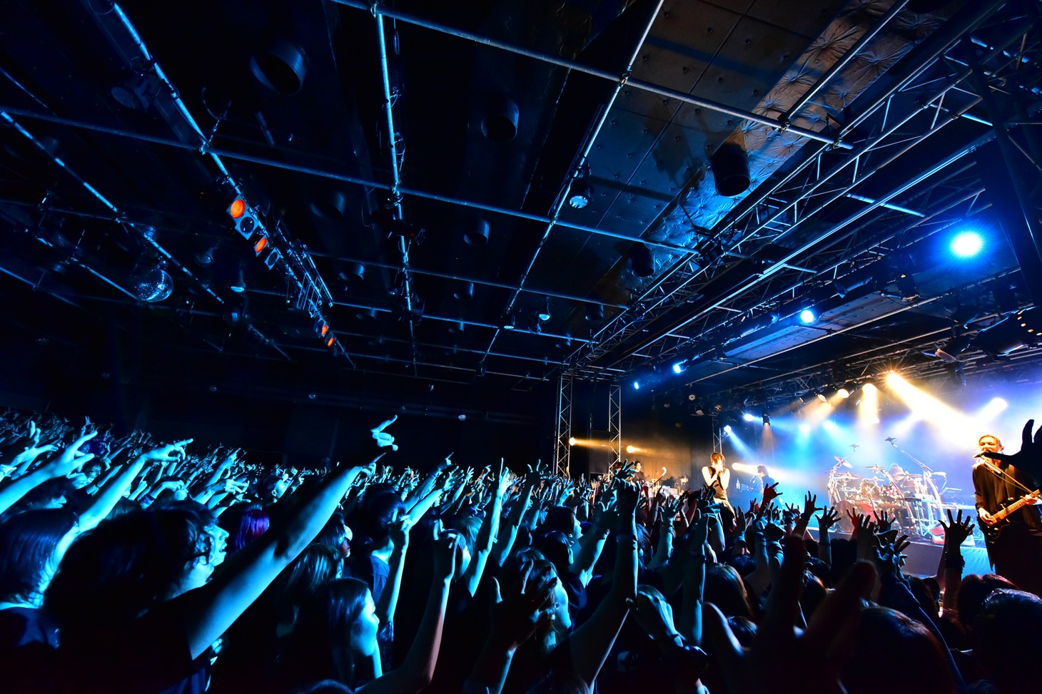 lynch.（提供：KING RECORDS）