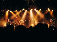 Homecomings（撮影：新家菜々子）