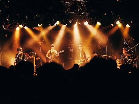 Homecomings(撮影:新家菜々子)