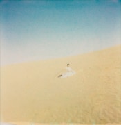 高井息吹「金星の声」配信ジャケット