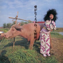 矢野顕子「愛がなくちゃね。」ジャケット