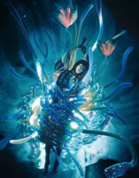 「AMNI Appearance　
誕生のストーリー」より。