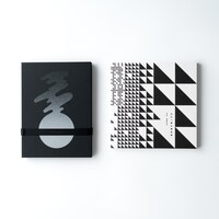 サカナクション「懐かしい月は新しい月 “蜃気楼”」商品画像