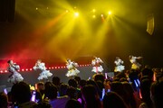 「超ときめき♡宣伝部のきみのハートにロックオンTOUR 2024」韓国公演の様子。
