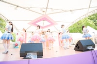 かすみ草とステラ