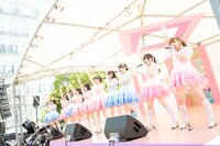 かすみ草とステラ