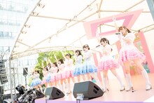 かすみ草とステラ