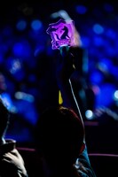 SLENDERIE RECORDペンライトを掲げるオーディエンス。