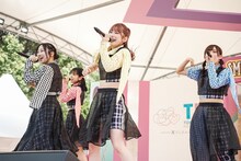 豆柴の大群都内某所 a.k.a. MONSTERIDOL