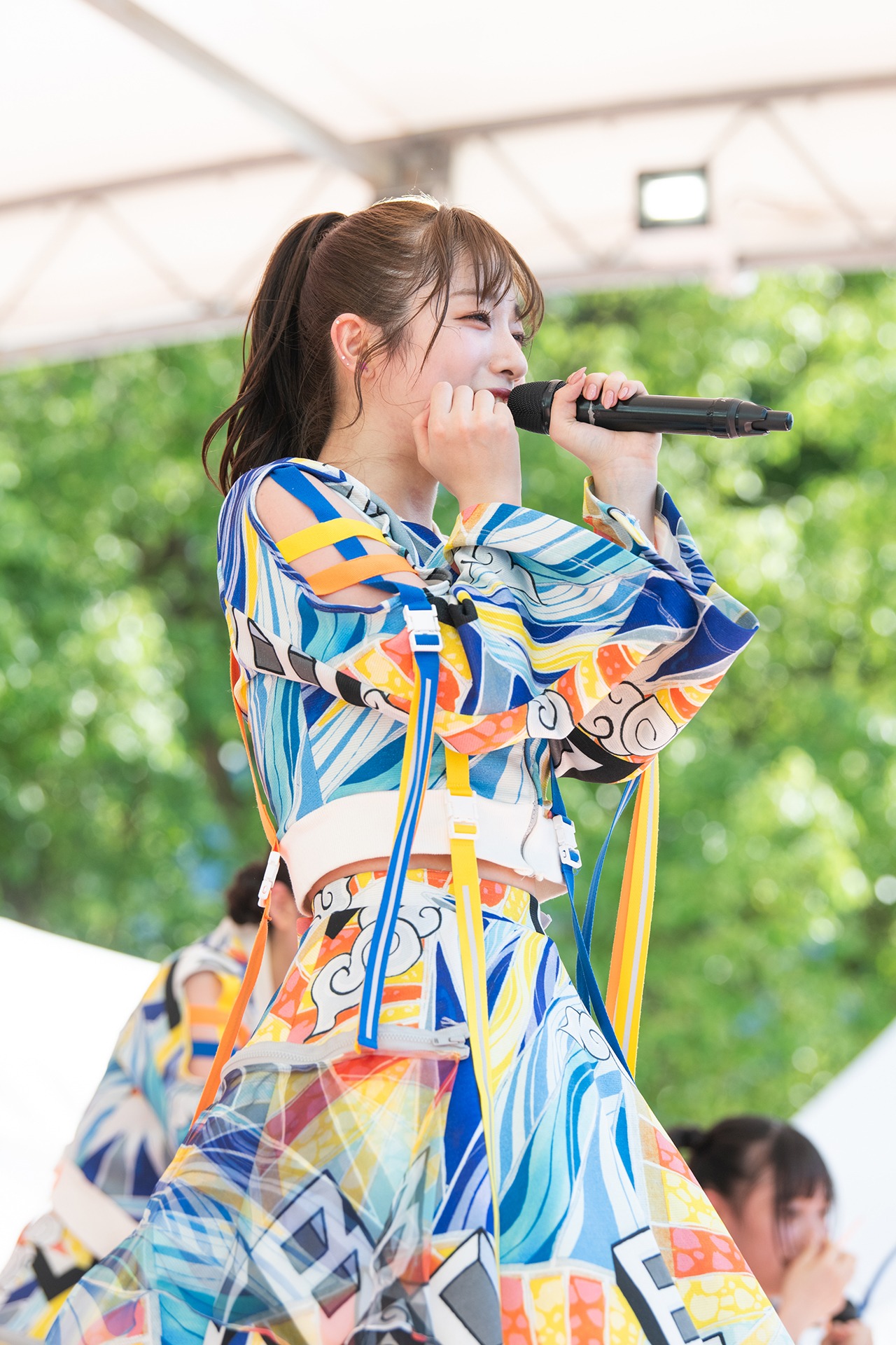 桜木心菜