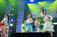 ロージークロニクル