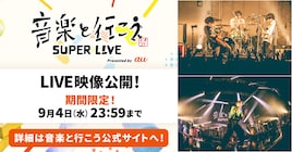 ユニゾン×PEOPLE 1、マルシィ×wacciツーマンのライブ映像公開