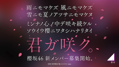 櫻坂46オーディション告知ビジュアル