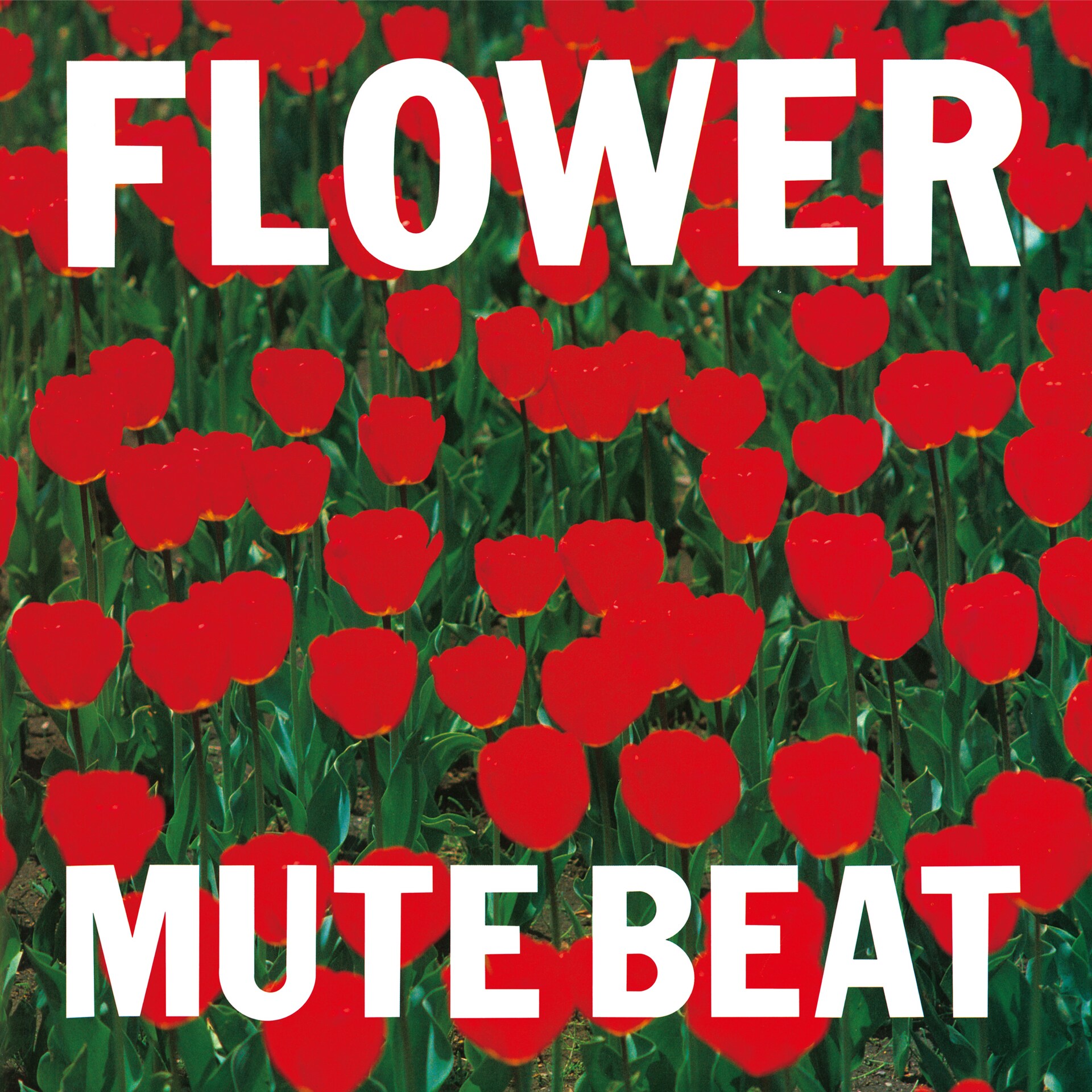 こだま和文 小玉和文 集団左遷 サントラ mute beat フィッシュマンズ こだま和文 小玉和文 集団左遷 サントラ mute beat フィッシュマンズ