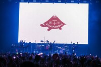 フジファブリック（撮影：森好弘）