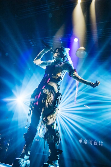 ano(撮影:横山マサト)