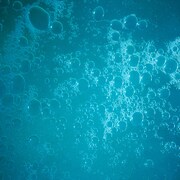 青葉市子「Lullaby」配信ジャケット