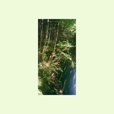 minami「Sour Cream Opinion」ジャケット