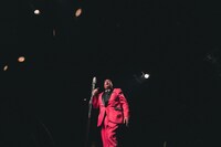 街裏ぴんく（撮影：廣田達也）