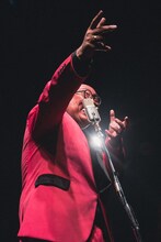 街裏ぴんく（撮影：廣田達也）