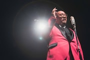 街裏ぴんく(撮影:廣田達也)