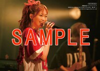 ゲーマーズ特典のL判ブロマイド3枚セット絵柄C。