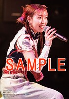 ゲーマーズ一部店舗限定特典のブロマイド。