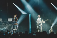 「Aile The Shota Oneman Tour 2024 "odorimasenka"」東京・Zepp Haneda（TOKYO）公演の様子。