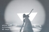 adieuのライブビジュアル。