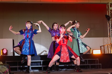 TEAM SHACHI（撮影：笹森健一）