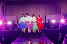 TEAM SHACHI（撮影：笹森健一）