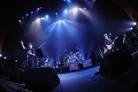 NONA REEVESのライブの様子。