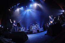 NONA REEVESのライブの様子。