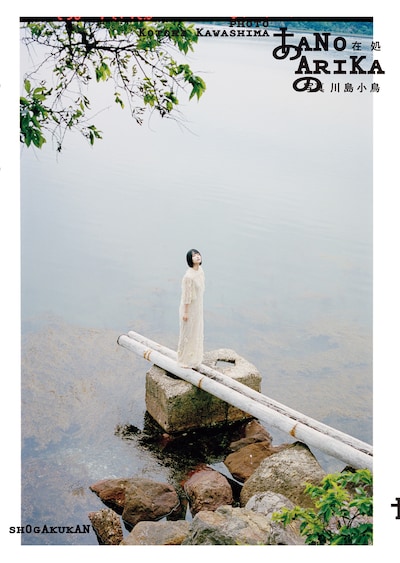 あの「あの在処」リバーシブルカバー裏面（撮影：川島小鳥）