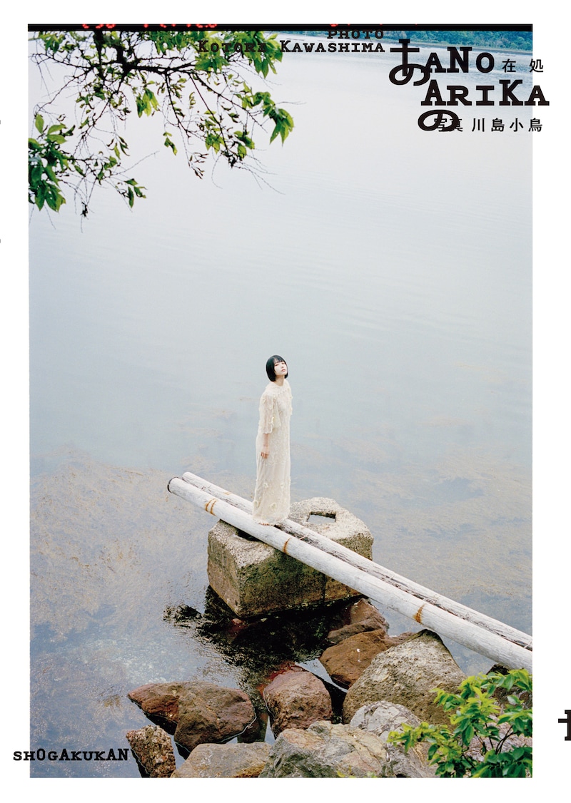 あの「あの在処」リバーシブルカバー裏面（撮影：川島小鳥）