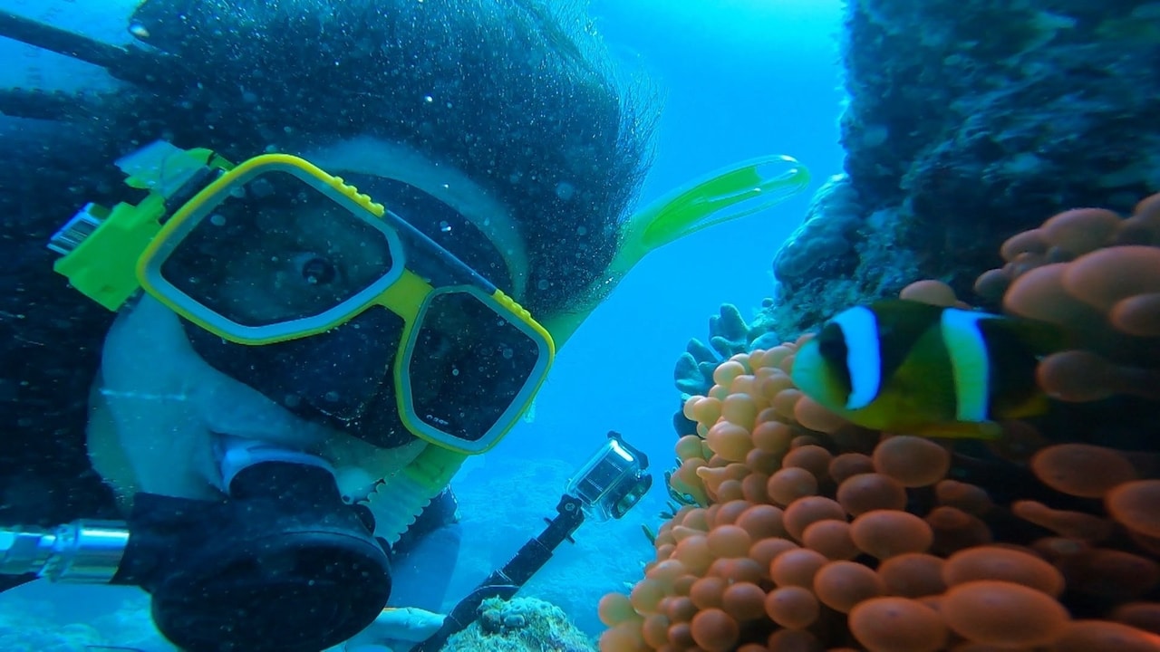 WEST.新曲が 「リア突WEST.」新テーマソングに、桐山照史はグレートバリアリーフにダイブ