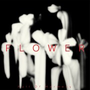Full Of Harmony「FLOWER」ジャケット