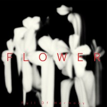 Full Of Harmony「FLOWER」ジャケット