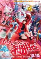 映画「はたらく細胞」ポスタービジュアル (c)清水茜／講談社 (c)原田重光・初嘉屋一生・清水茜／講談社 (c)2024映画「はたらく細胞」製作委員会