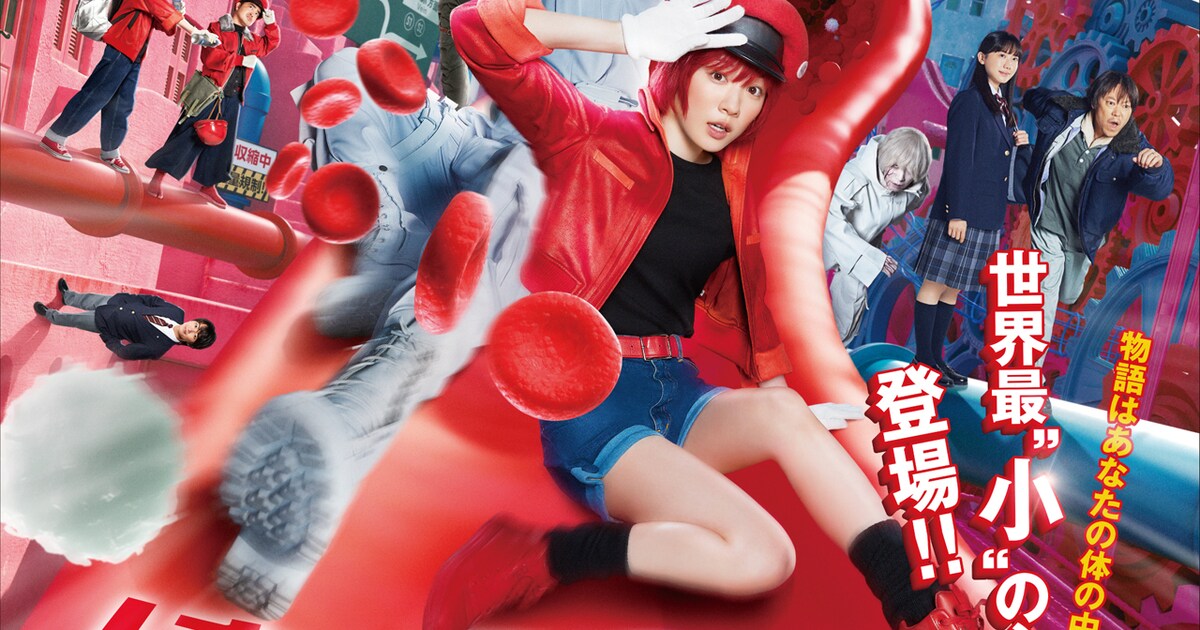  映画「はたらく細胞」ポスタービジュアル(c)清水茜／講談社 (c)原田重光・初嘉屋一生・清水茜／講談社 (c)2024映画 [画像ギャラリー Motiv 