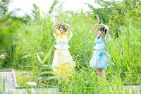 毎年「ファミえん」会場にのみ現れる珍しい野鳥。