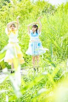 毎年「ファミえん」会場にのみ現れる珍しい野鳥。