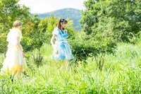 茂みを歩くカホリコ。