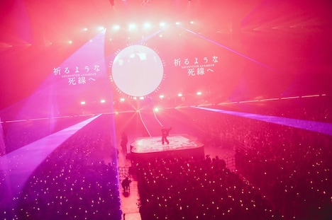 「Eve Asia Tour 2024 追加公演『文化』」ツアーファイナルより「ファイトソング」パフォーマンス時の様子。（Photo by Takeshi Yao）