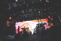 downy（撮影：ヤギタツノリ）