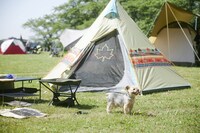 「麦ノ秋音楽祭」過去開催時の会場の様子。