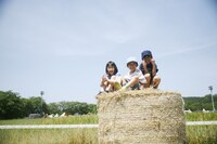 「麦ノ秋音楽祭」過去開催時の会場の様子。