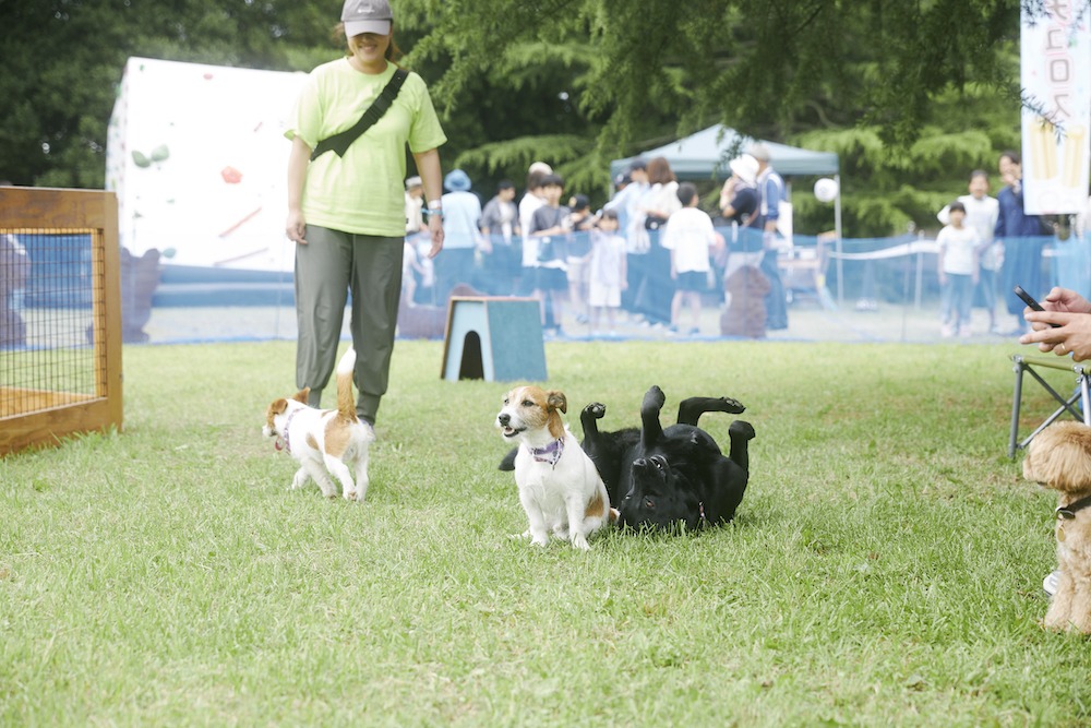 「麦ノ秋音楽祭」過去開催時の会場の様子。