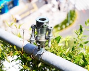 「LOST CORNER AR LIVE in HARAKADO」の様子。